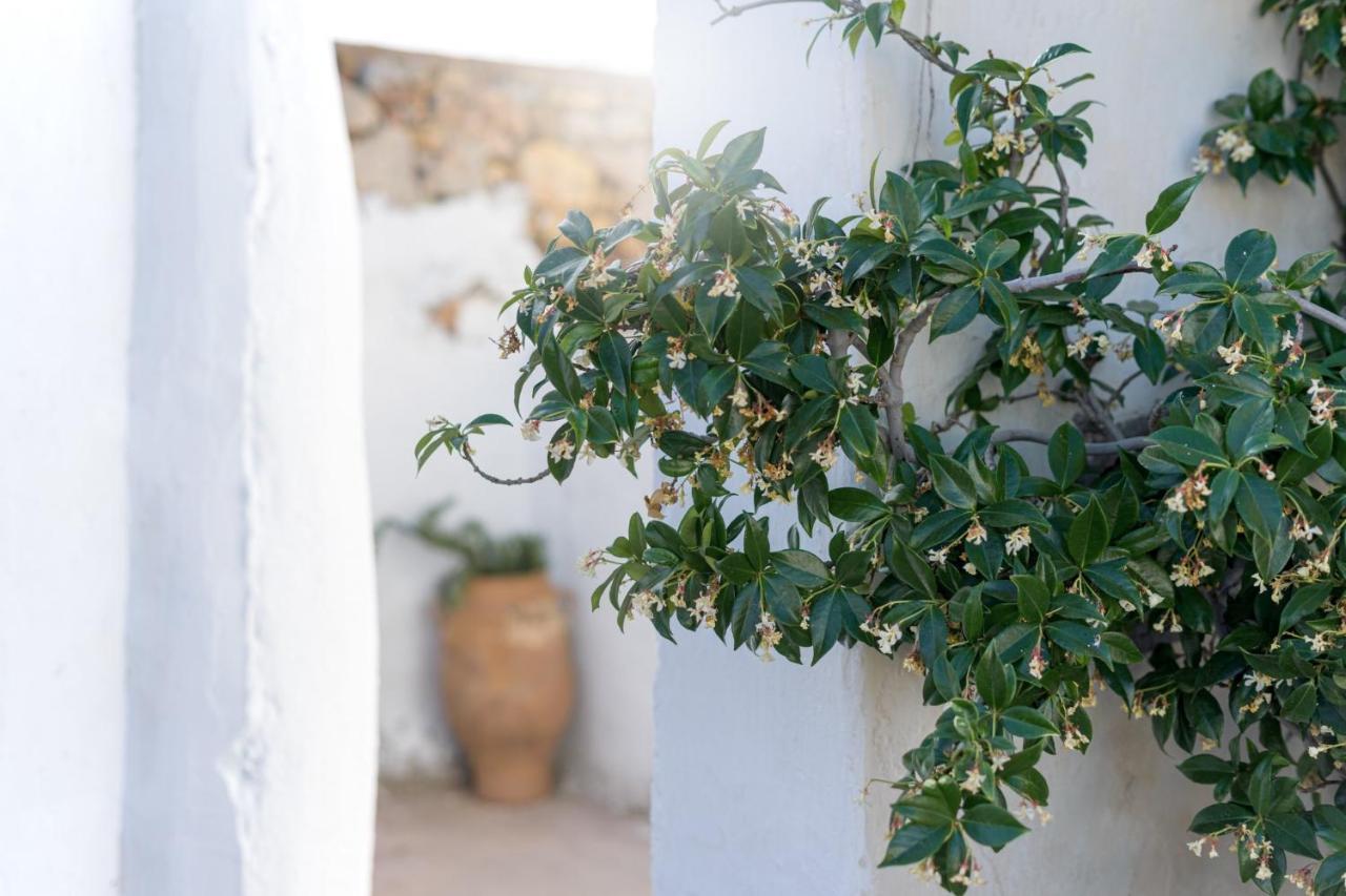 Traditional Cretan House Lithostrati Karidi Village מראה חיצוני תמונה
