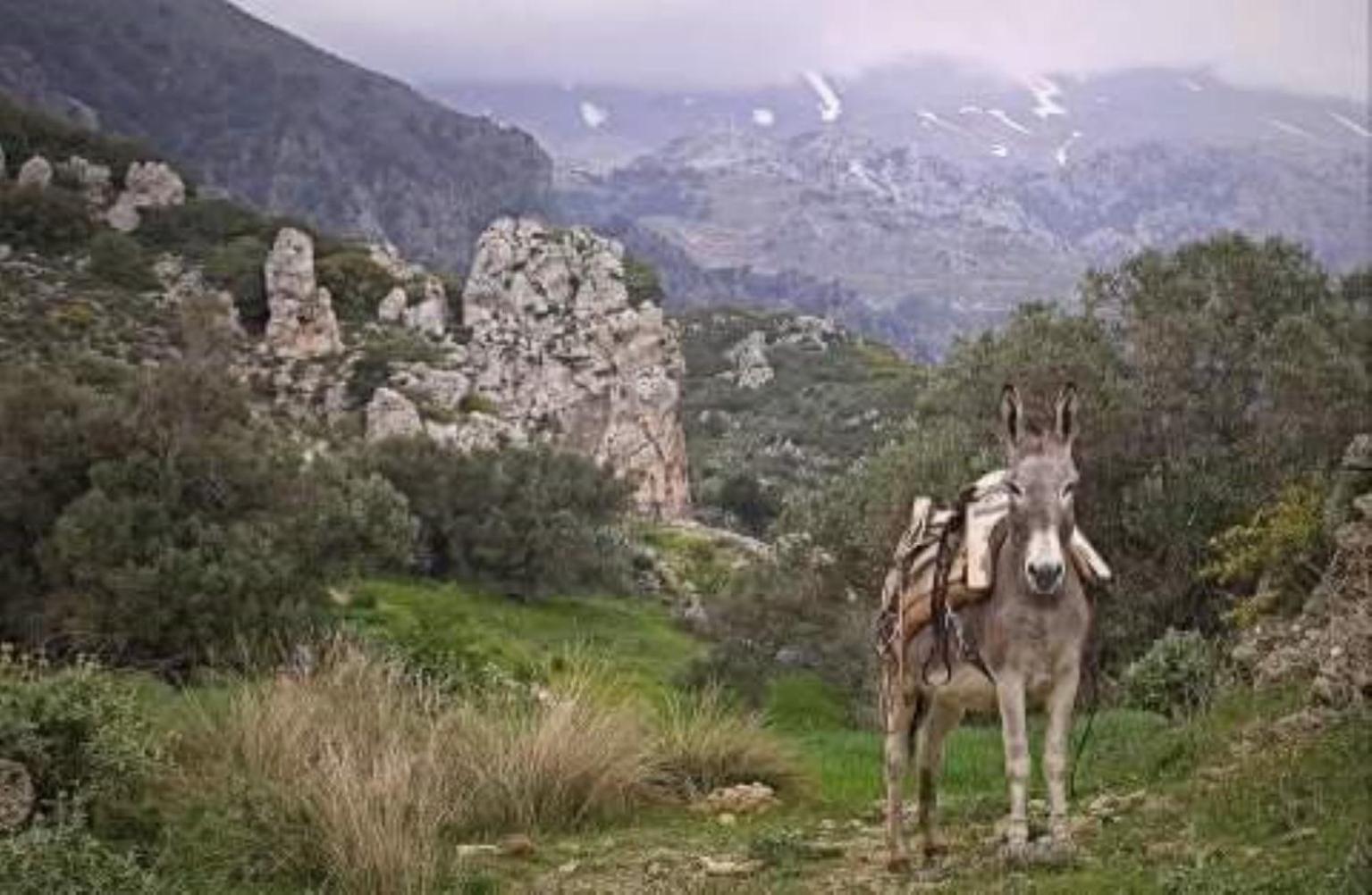 Traditional Cretan House Lithostrati Karidi Village מראה חיצוני תמונה